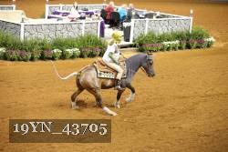19YN_43705 thumbnail