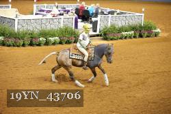 19YN_43706 thumbnail