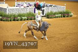 19YN_43707 thumbnail