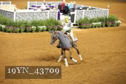 19YN_43709 thumbnail