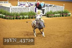 19YN_43710 thumbnail