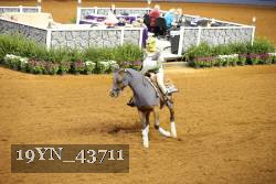 19YN_43711 thumbnail