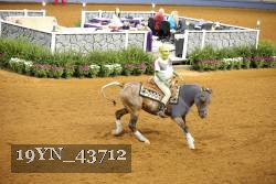 19YN_43712 thumbnail