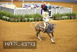 19YN_43713 thumbnail