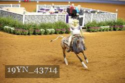 19YN_43714 thumbnail