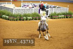 19YN_43715 thumbnail