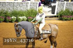 19YN_43716 thumbnail