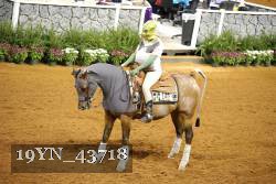 19YN_43718 thumbnail