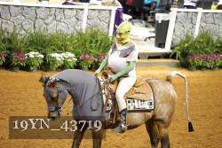 19YN_43719 thumbnail