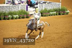 19YN_43720 thumbnail