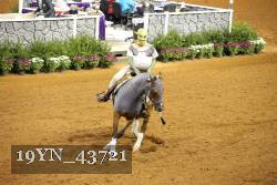 19YN_43721 thumbnail