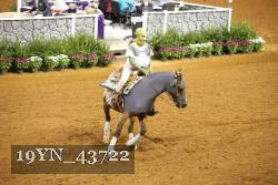19YN_43722 thumbnail