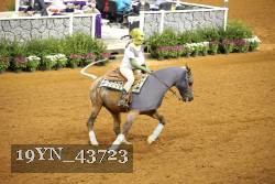 19YN_43723 thumbnail