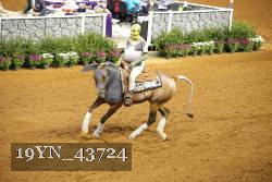 19YN_43724 thumbnail