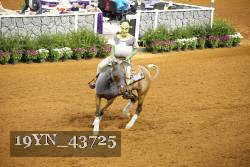 19YN_43725 thumbnail