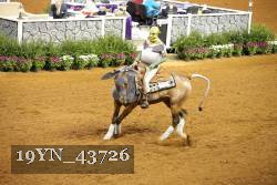 19YN_43726 thumbnail