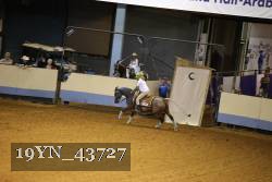 19YN_43727 thumbnail