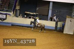 19YN_43728 thumbnail