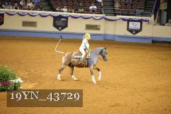 19YN_43729 thumbnail