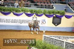 19YN_43735 thumbnail