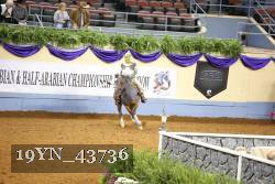 19YN_43736 thumbnail