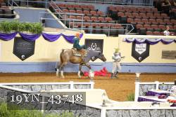 19YN_43748 thumbnail