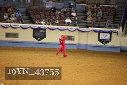 19YN_43755 thumbnail
