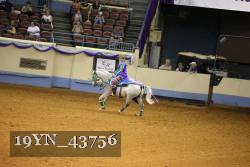 19YN_43756 thumbnail