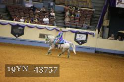 19YN_43757 thumbnail