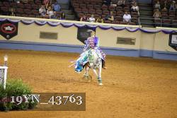 19YN_43763 thumbnail