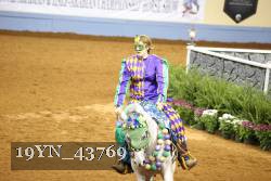 19YN_43769 thumbnail