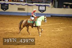 19YN_43970 thumbnail