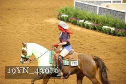 19YN_43976 thumbnail