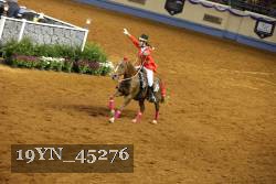 19YN_45276 thumbnail