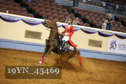 19YN_45469 thumbnail