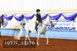 19YN_15176 thumbnail