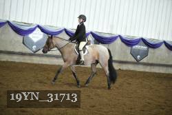 19YN_31713 thumbnail