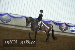 19YN_31852 thumbnail