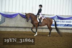 19YN_31864 thumbnail