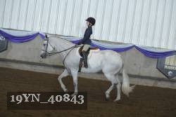 19YN_40843 thumbnail