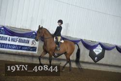 19YN_40844 thumbnail