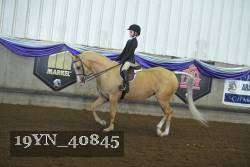 19YN_40845 thumbnail