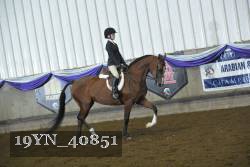19YN_40851 thumbnail
