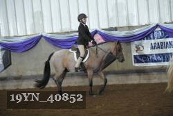 19YN_40852 thumbnail