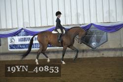 19YN_40853 thumbnail