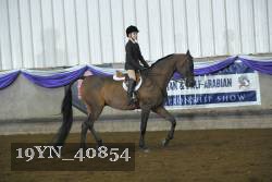 19YN_40854 thumbnail