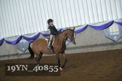 19YN_40855 thumbnail