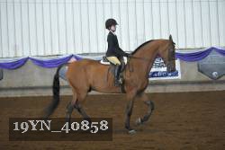 19YN_40858 thumbnail