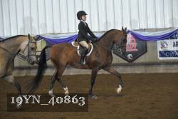 19YN_40863 thumbnail
