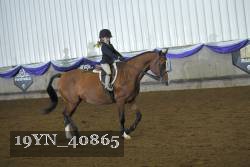 19YN_40865 thumbnail